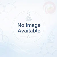 T-Bright Plus Sintering Furnace PDF Catalog