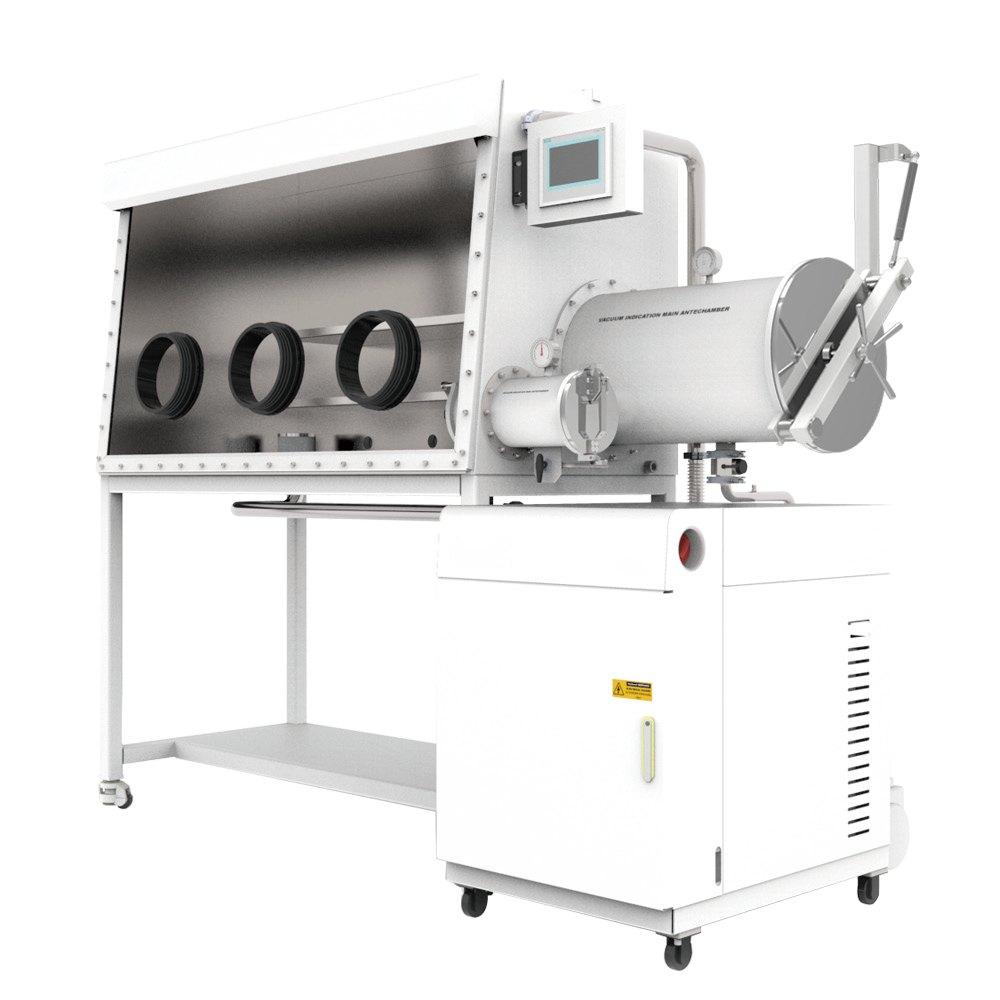 Purification system glove box