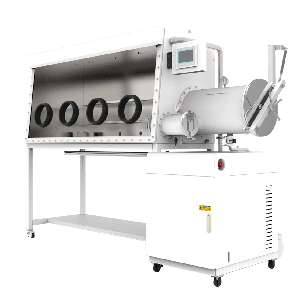 Purification system glove box