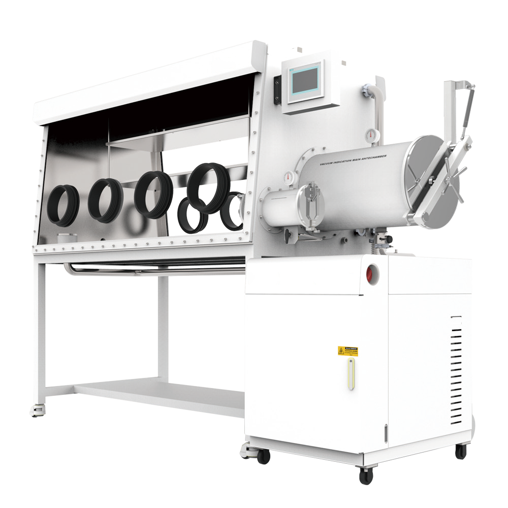 Purification system glove box