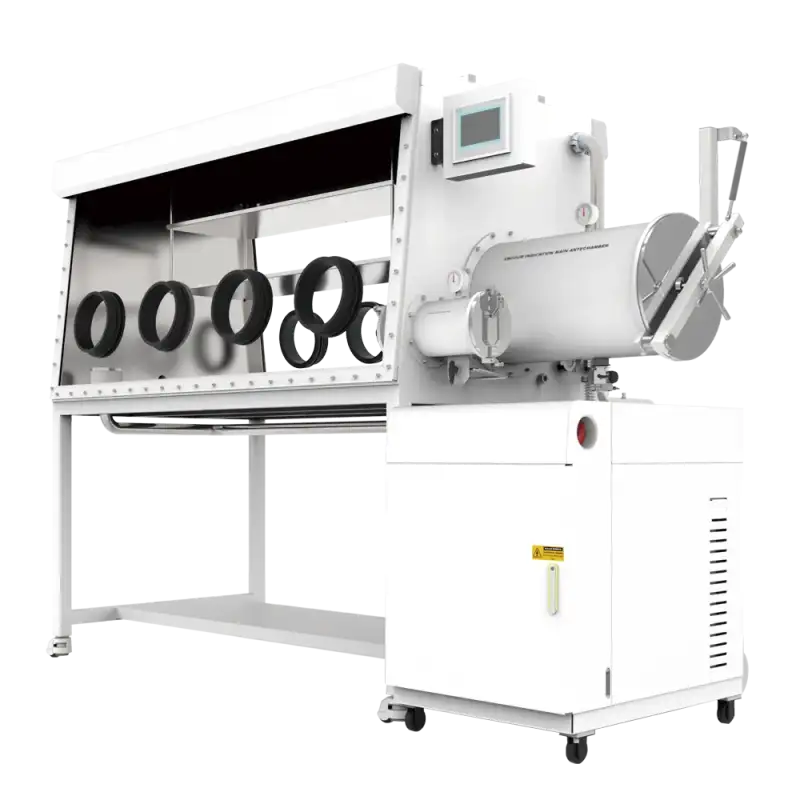 glove box with purification system