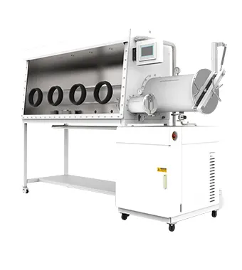 Purification glove box-C model